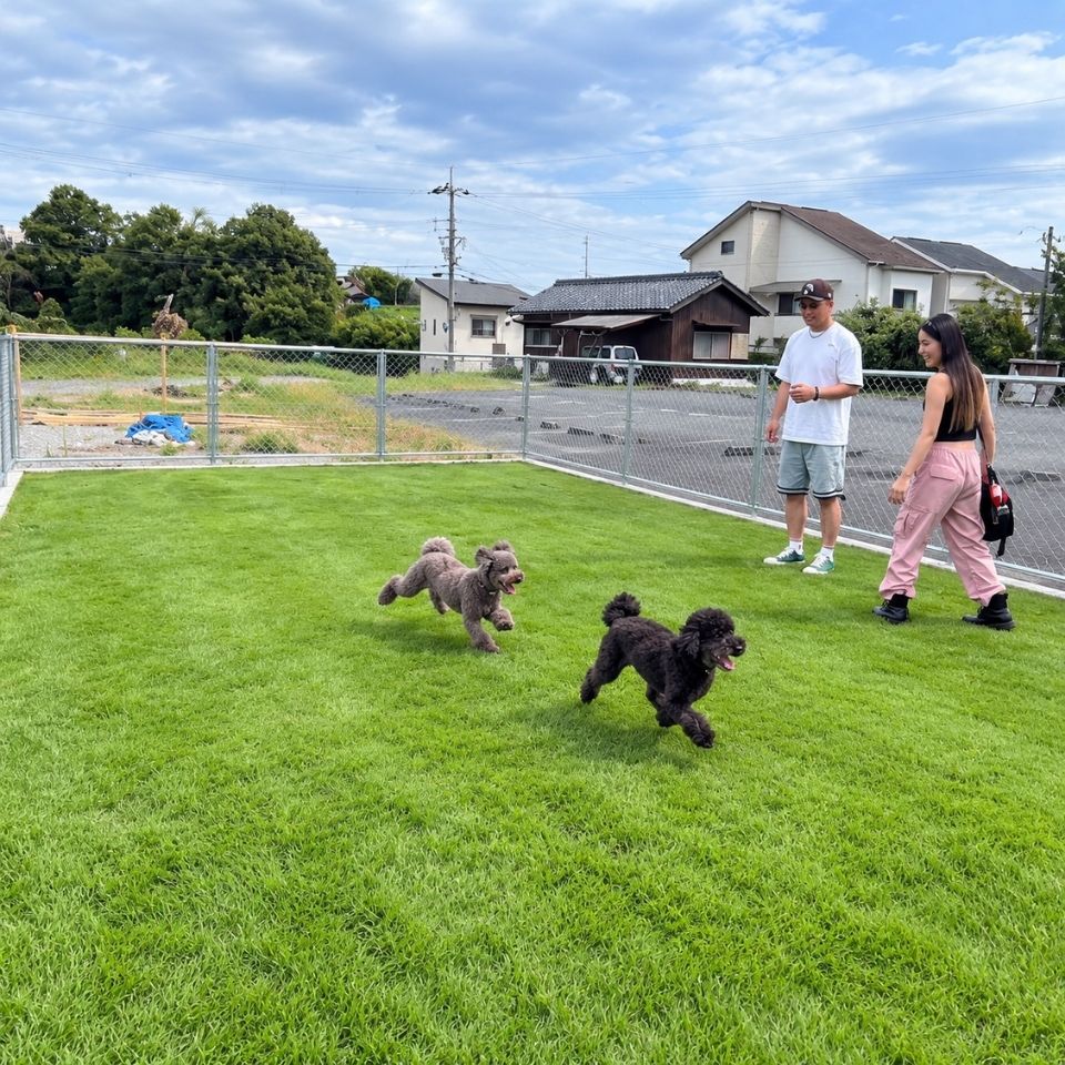ドッグランの利用風景 4